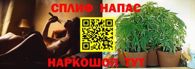 винт Пенза
