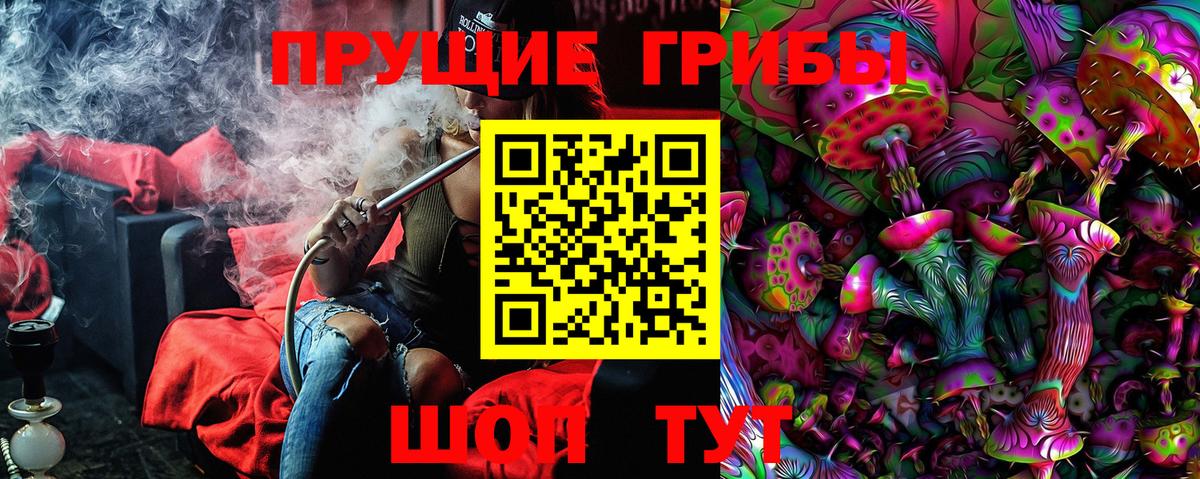 Галлюциногенные грибы Psilocybe  Вход с VPN  Янаул  Галлюциногенные грибы мухоморы 