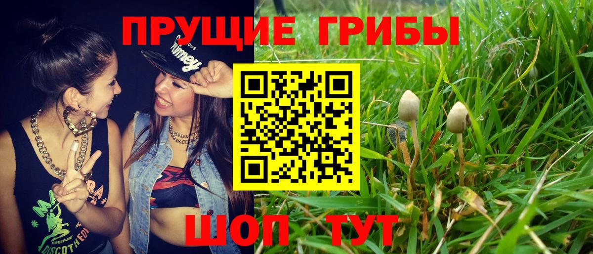 Галлюциногенные грибы Psilocybine cubensis Янаул